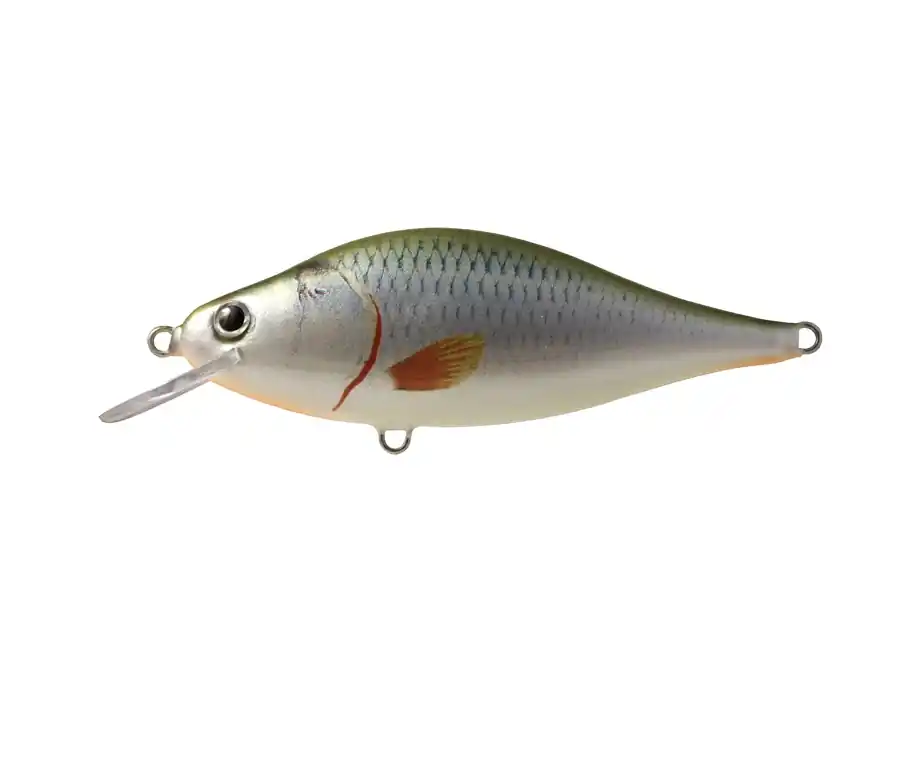 Sprawdź teraz - TEMPTER F - GRO - 14cm