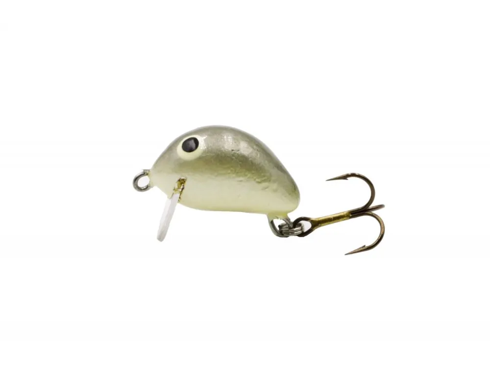 Już w sprzedaży | TRAIL - F - 2,5cm