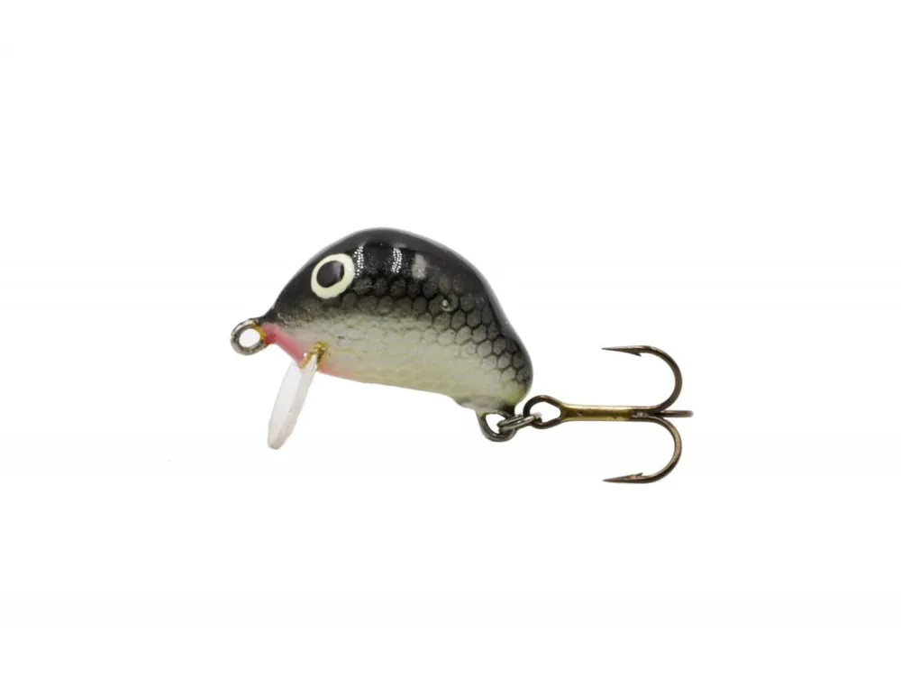 Nowość w ofercie - TRAIL - F - 2,5cm